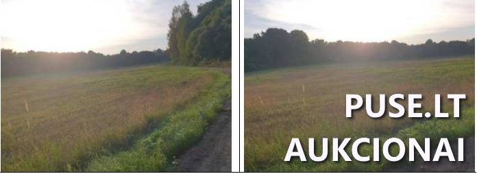 Žemės sklypas Sklypai Šaukėnai, Mažonų sen., Tauragės r. sav. 1