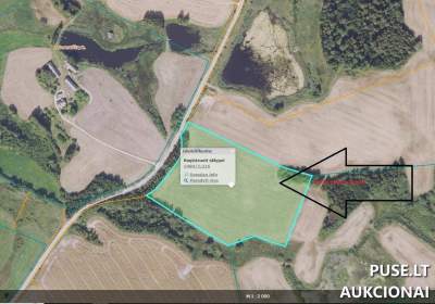 3.1 ha ūkio paskirties žemės sklypas Kelmės r. Adomaičių k. su 12800 EUR pradine kaina
