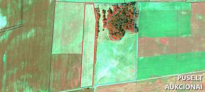 Žemės sklypas Vilkaviškio r. Beržnavienės k. 7.5909 ha, pradinė kaina 16000 EUR