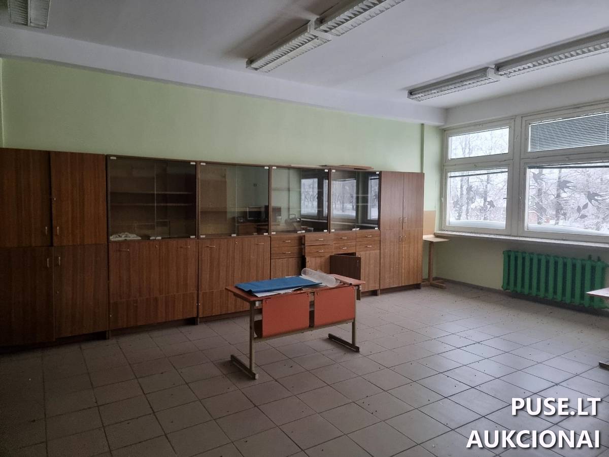 Mokykla Pastatai Mokyklos g. 1, 40438 Salamiestis, Alizavos sen., Kupiškio r. sav. 10