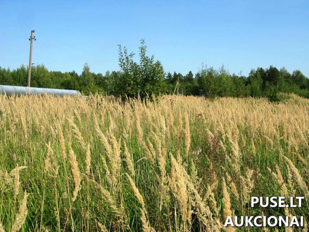 Žemės sklypas Sklypai Karlų g., Karlos, Visagino sav. 3