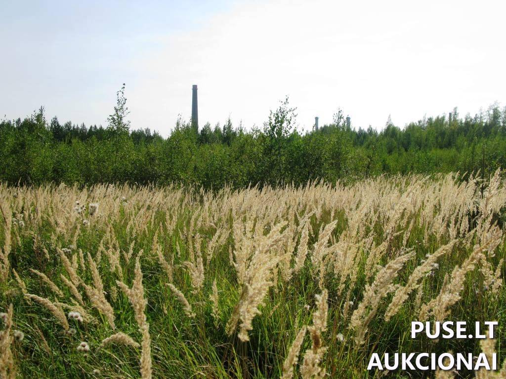 Žemės sklypas Sklypai Karlų g., Karlos, Visagino sav. 4