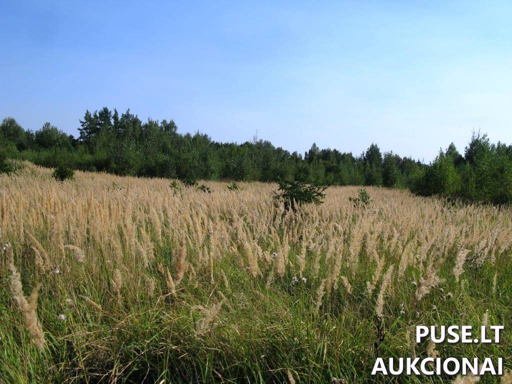 Žemės sklypas Sklypai Karlų g., Karlos, Visagino sav. 5