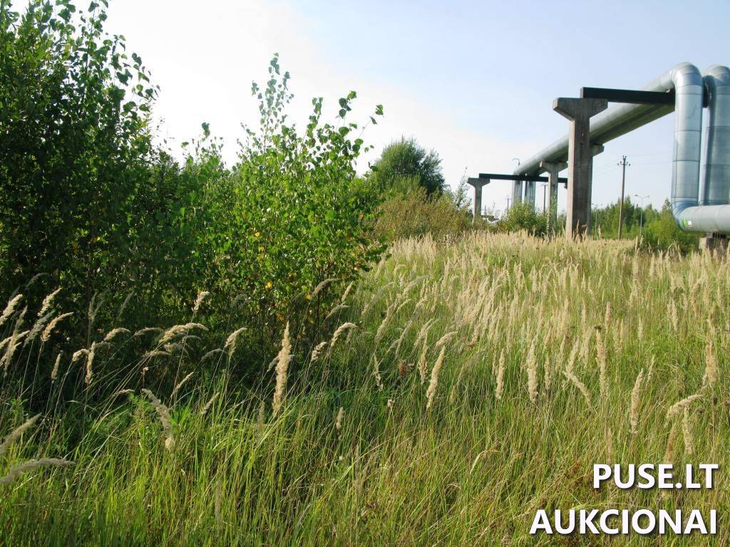 Žemės sklypas Sklypai Karlų g., Karlos, Visagino sav. 6