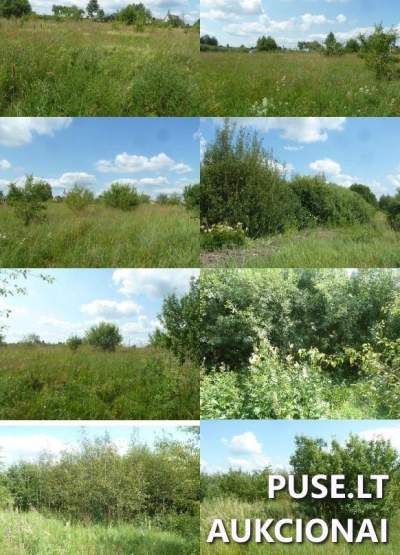 Žemės sklypas Vilniaus rajone, Rukainių kaime, parduodamas aukcione nuo 11120 EUR