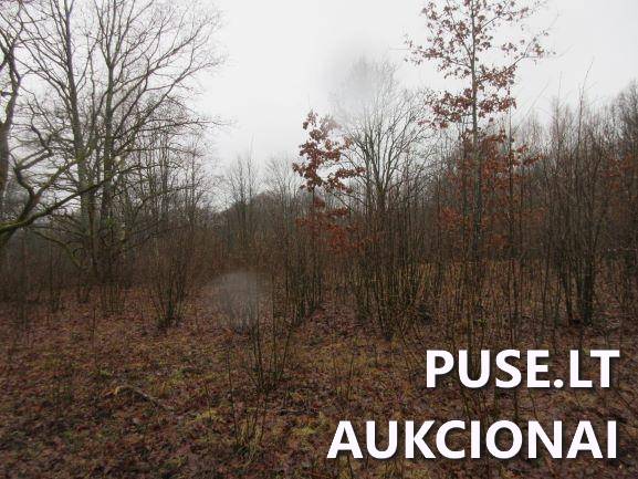 Žemės sklypas Sklypai Jucaičių g., Jucaičiai, Veiviržėnų sen., Klaipėdos r. sav. 5