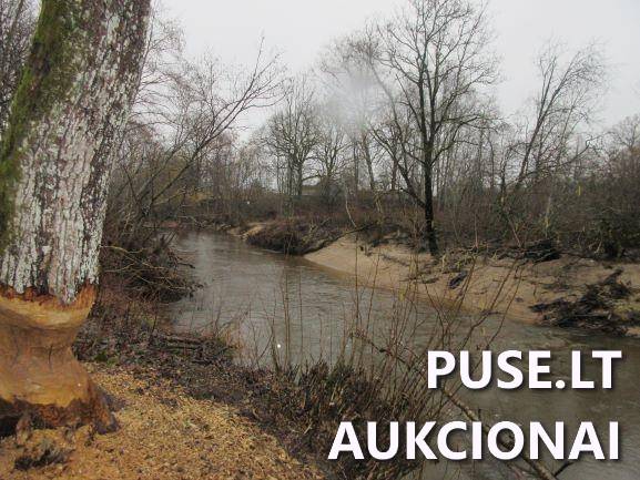Žemės sklypas Sklypai Jucaičių g., Jucaičiai, Veiviržėnų sen., Klaipėdos r. sav. 7