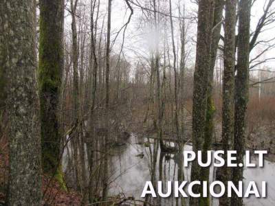 Žemės ūkio naudmenų sklypas Klaipėdos rajone, Jucaičių kaime, 7.5 ha, pradinė kaina 15600 EUR