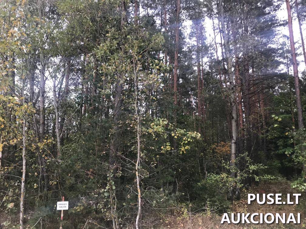 Žemės sklypas Sklypai Ašmenėlė, Rukainių sen., Vilniaus r. sav. 2