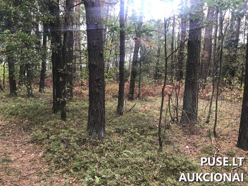 Žemės sklypas Sklypai Ašmenėlė, Rukainių sen., Vilniaus r. sav. 4