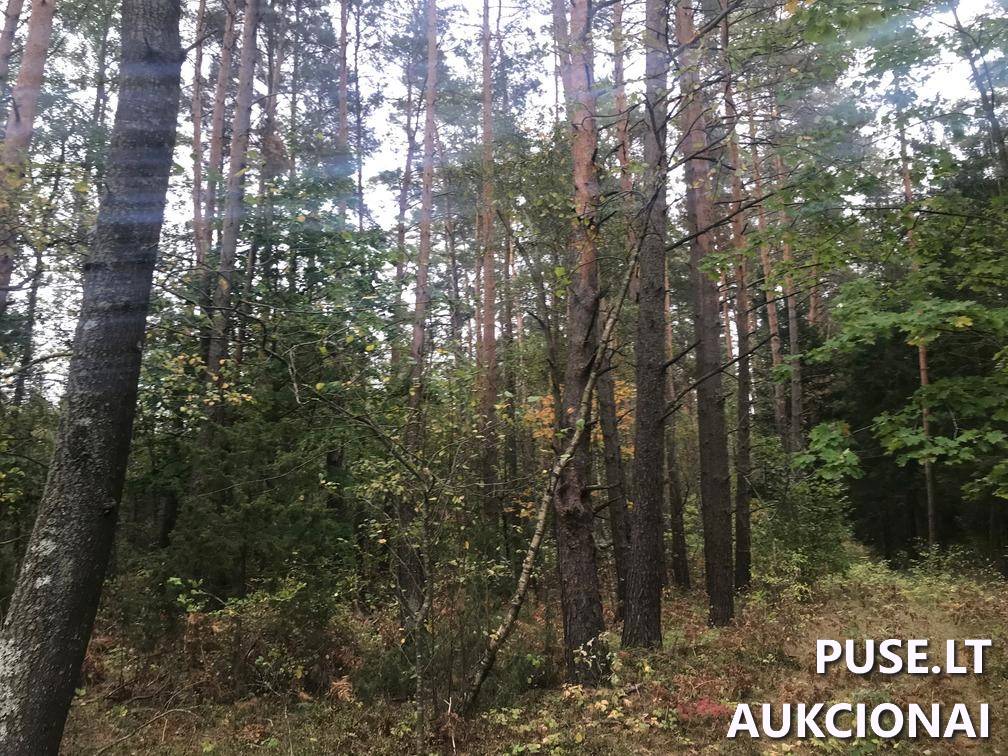 Žemės sklypas Sklypai Ašmenėlė, Rukainių sen., Vilniaus r. sav. 5