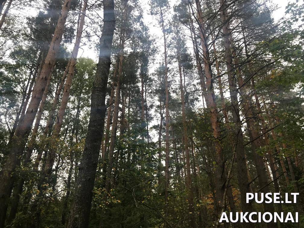 Žemės sklypas Sklypai Ašmenėlė, Rukainių sen., Vilniaus r. sav. 6