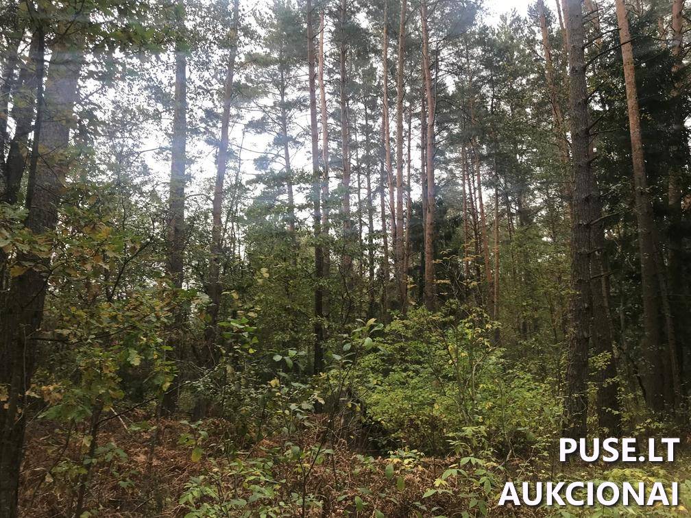 Žemės sklypas Sklypai Ašmenėlė, Rukainių sen., Vilniaus r. sav. 7
