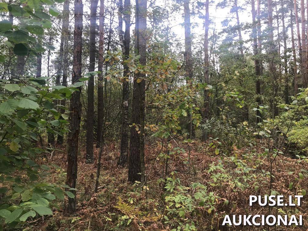 Žemės sklypas Sklypai Ašmenėlė, Rukainių sen., Vilniaus r. sav. 8