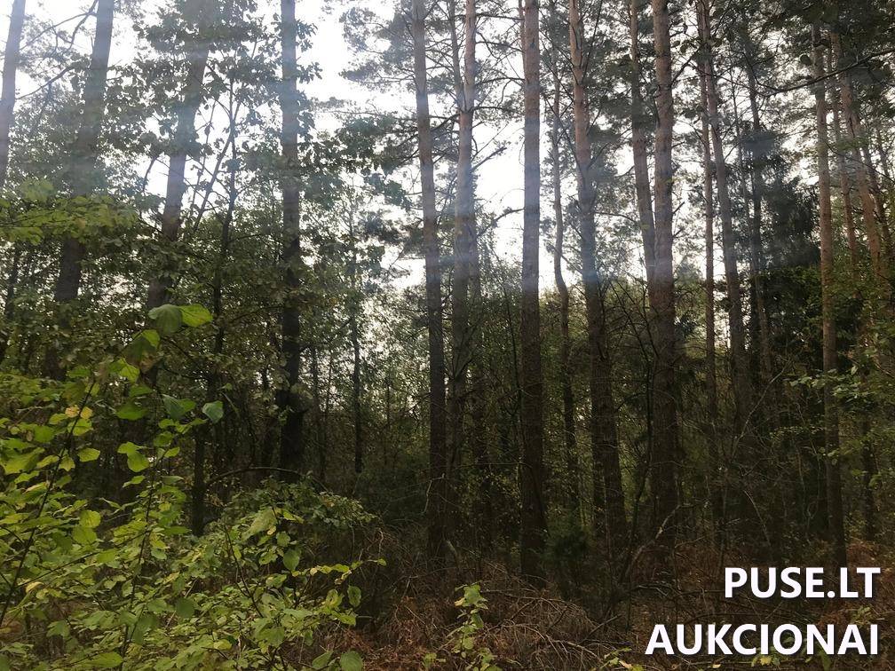 Žemės sklypas Sklypai Ašmenėlė, Rukainių sen., Vilniaus r. sav. 9