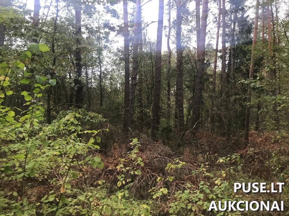 Žemės sklypas Sklypai Ašmenėlė, Rukainių sen., Vilniaus r. sav. 10