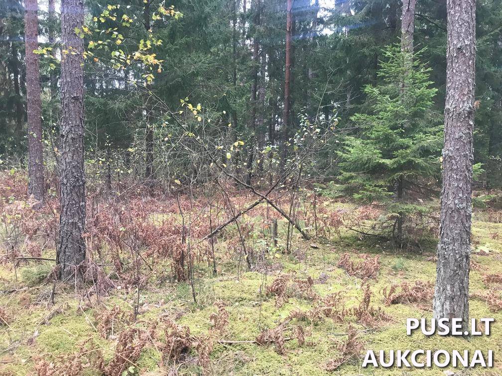 Žemės sklypas Sklypai Ašmenėlė, Rukainių sen., Vilniaus r. sav. 1