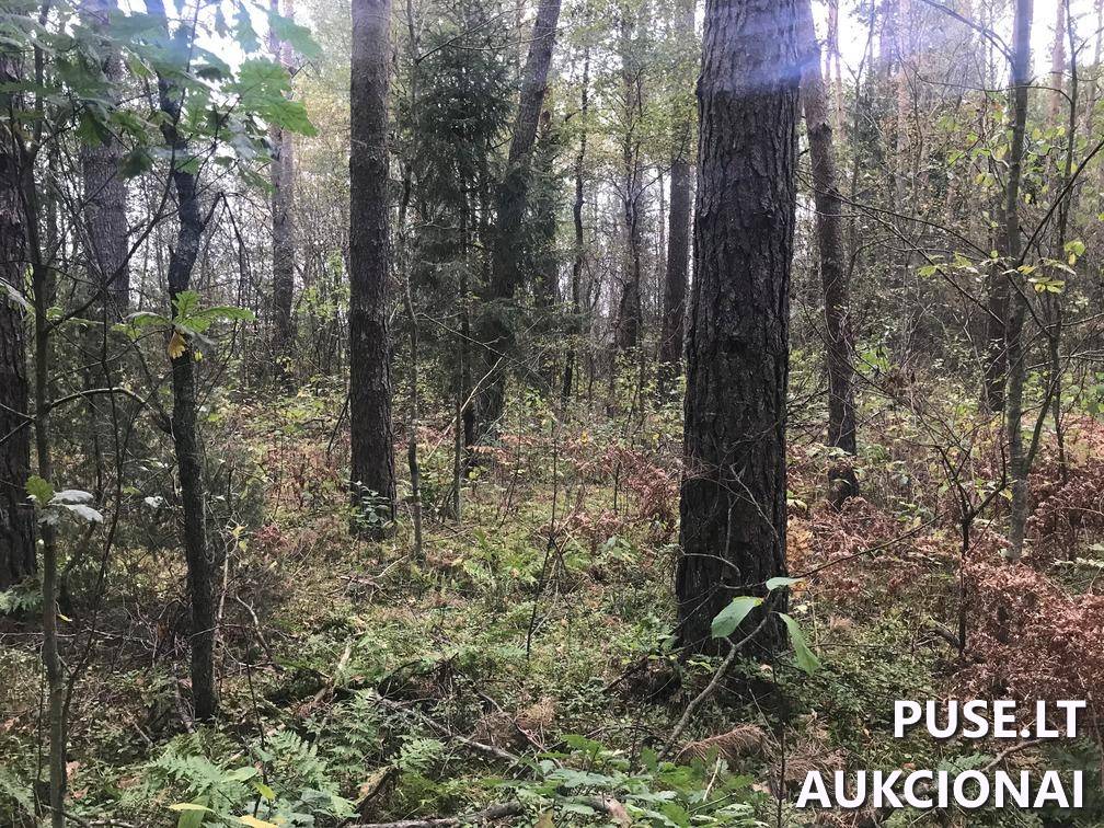 Žemės sklypas Sklypai Ašmenėlė, Rukainių sen., Vilniaus r. sav. 2