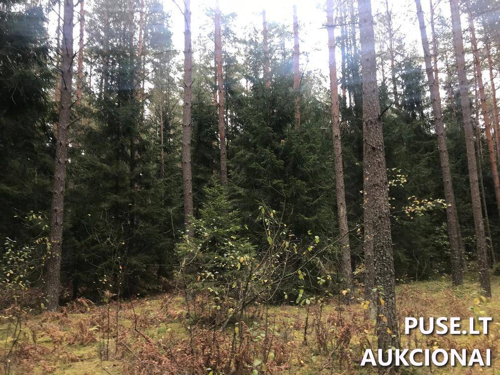Žemės sklypas Sklypai Ašmenėlė, Rukainių sen., Vilniaus r. sav. 3