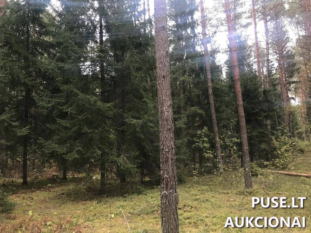 Žemės sklypas Sklypai Ašmenėlė, Rukainių sen., Vilniaus r. sav. 4