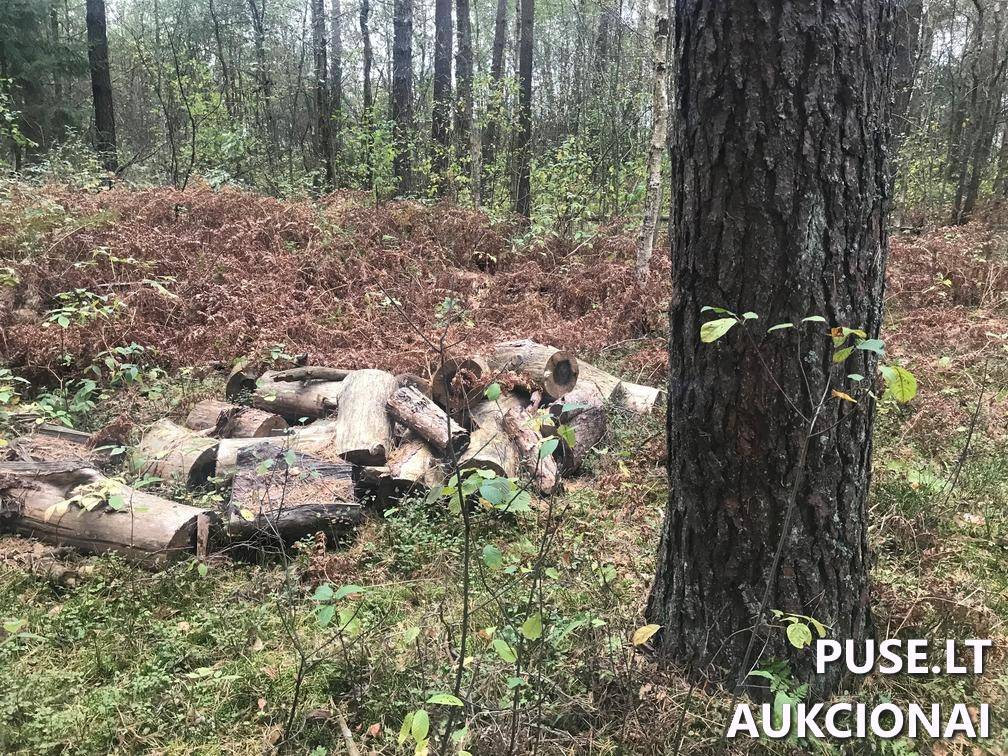 Žemės sklypas Sklypai Ašmenėlė, Rukainių sen., Vilniaus r. sav. 5