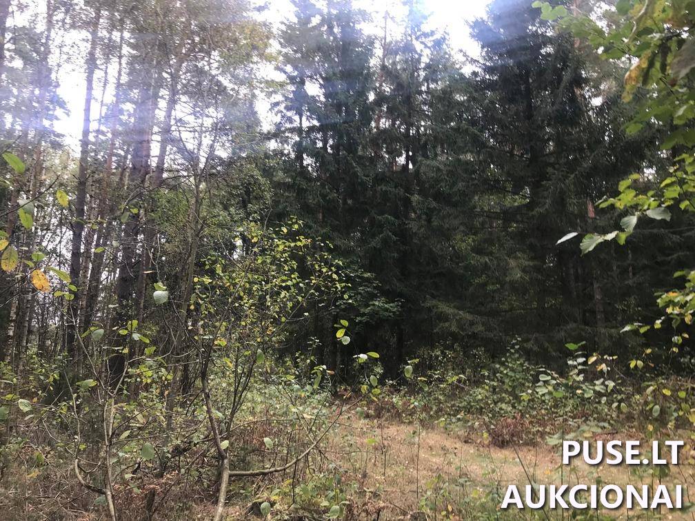 Žemės sklypas Sklypai Ašmenėlė, Rukainių sen., Vilniaus r. sav. 7
