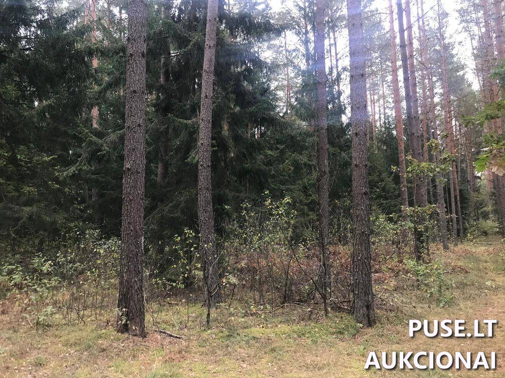 Žemės sklypas Sklypai Ašmenėlė, Rukainių sen., Vilniaus r. sav. 8