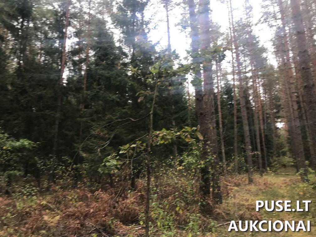 Žemės sklypas Sklypai Ašmenėlė, Rukainių sen., Vilniaus r. sav. 10