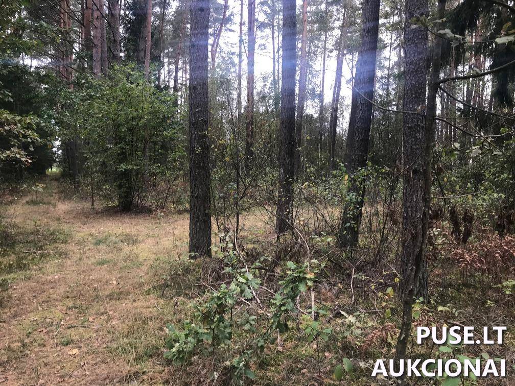 Žemės sklypas Sklypai Ašmenėlė, Rukainių sen., Vilniaus r. sav. 11