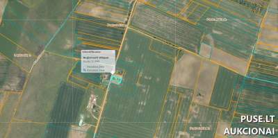 Žemės sklypo 1/3 dalis Šiaulių r. Padvaiskiuose gyvenamajai statybai, pradinė kaina 2266 EUR