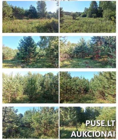 Žemės sklypas Vilniaus r. sav., Šilėnų k., parduodamas aukcione už 11640 EUR