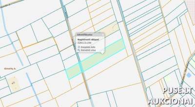 Žemės ūkio sklypas Kauno rajone, Gineitų kaime, pradinė kaina 18800 EUR