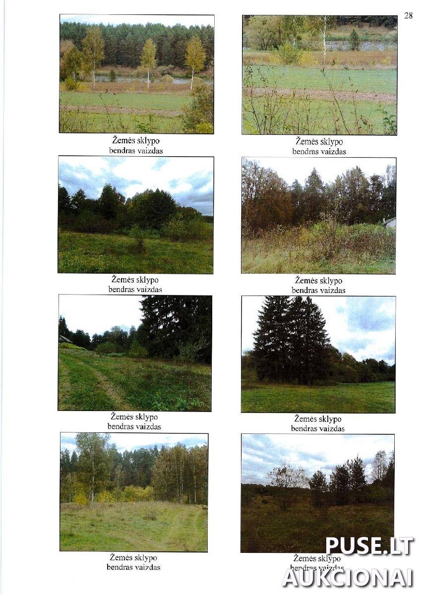 Žemės sklypas Sklypai Žilvičiai, Noragėlių sen., Lazdijų r. sav. 4