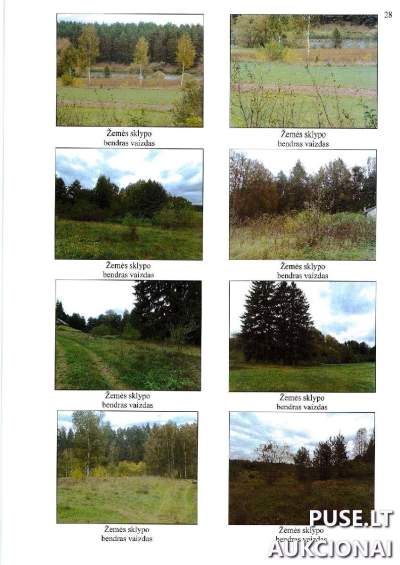 Žemės ūkio sklypo dalis Lazdijų r. sav., Žilvičių k. 2.0050 ha parduodama 4240 EUR aukcione