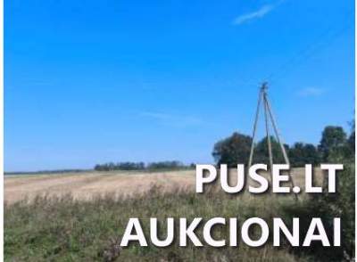 Žemės sklypas Marijampolės rajone, Rudėnų kaime, parduodamas aukcione nuo 3480 EUR