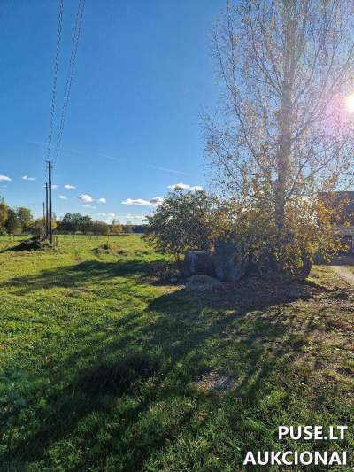 Valstybinis žemės sklypas Tauragės r. Skaudvilėje, Draugystės g. 7A, pradinė kaina 2350 EUR