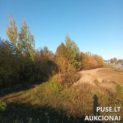 Valstybinės žemės sklypo aukcionas Tauragės m. pradinė kaina 9100 EUR