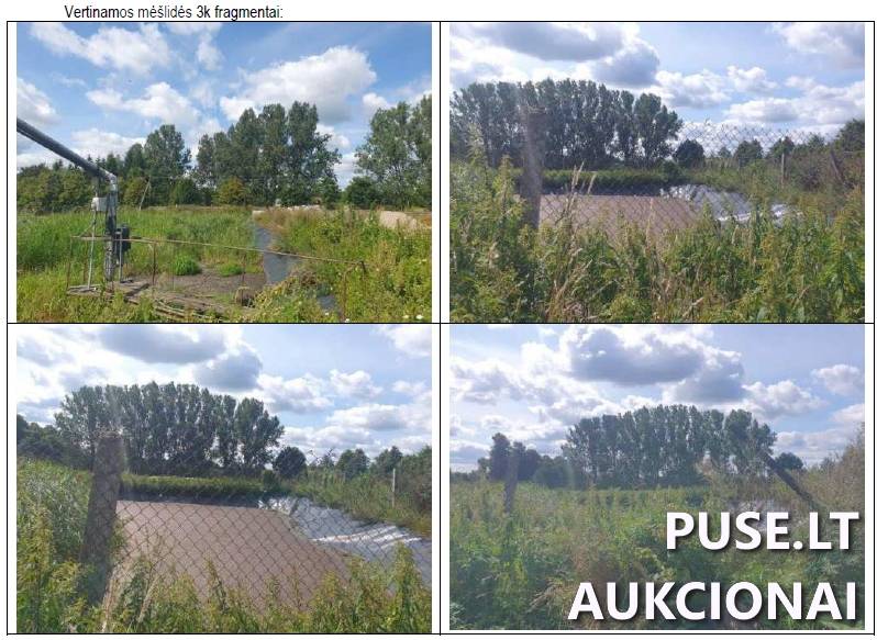 Žemės sklypas Sklypai Žvejų g. 23, 75262 Didkiemis, Didkiemio sen., Šilalės r. sav. 14