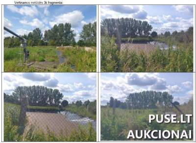 Žemės sklypas 1.50 ha su karvide Didkiemyje, Šilalės r. sav. - pradinė kaina 46320 EUR