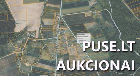 Žemės sklypas Sklypai Pamažupiai, Joniškėlio apylinkių sen., Pasvalio r. sav. 1