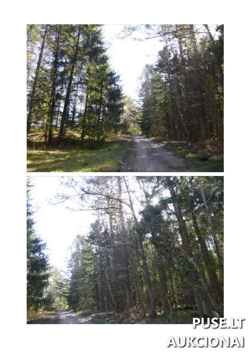 Žemės sklypas Sklypai Kulbokiškė, Strūnaičio sen., Švenčionių r. sav. 3