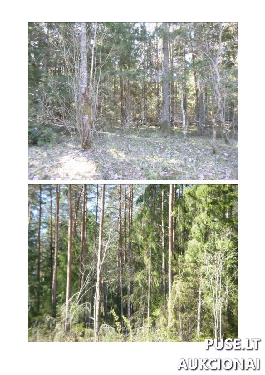 Žemės sklypas Sklypai Kulbokiškė, Strūnaičio sen., Švenčionių r. sav. 6