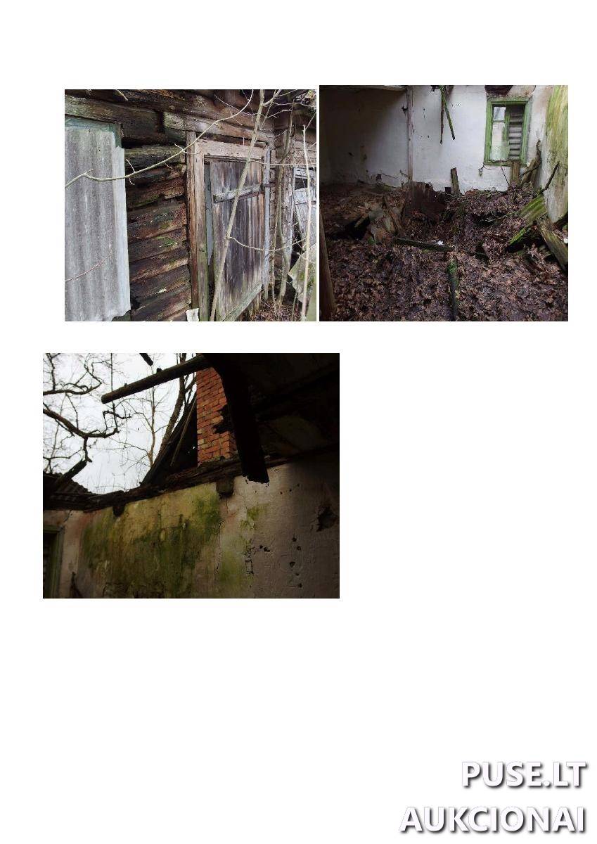 Pieninė Pastatai Kamajėliai 1A, 42283, Kamajų sen., Rokiškio r. sav. 1