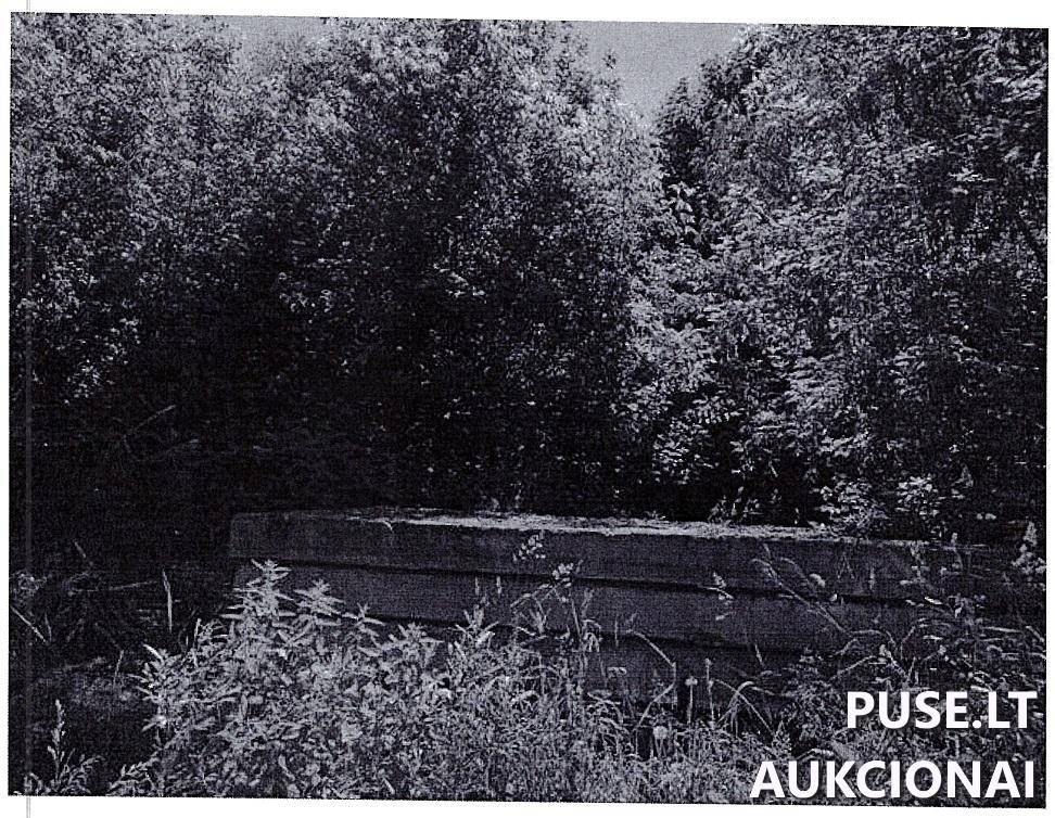 Žemės sklypas Sklypai Ziniūnai, Joniškio sen., Joniškio r. sav. 1