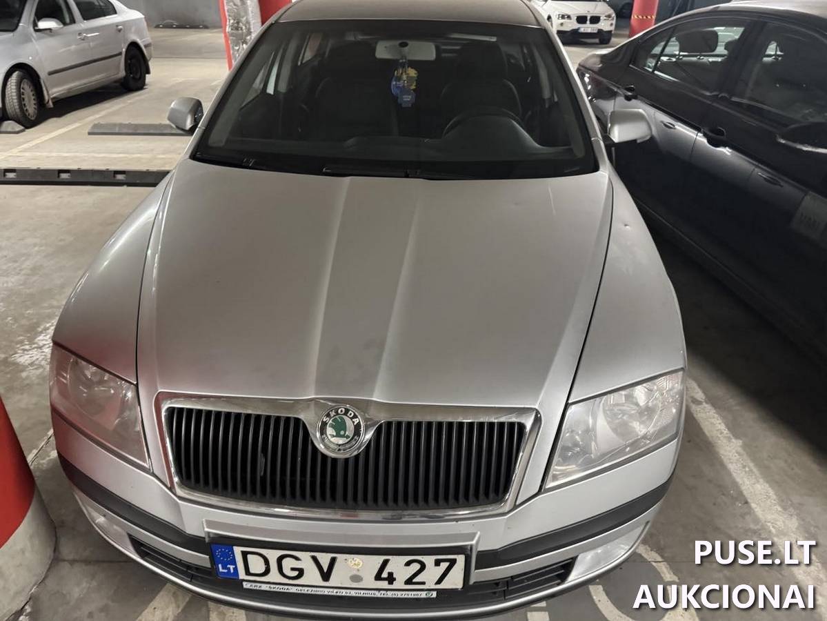 Škoda Oktavia Lengvasis automobilis 2