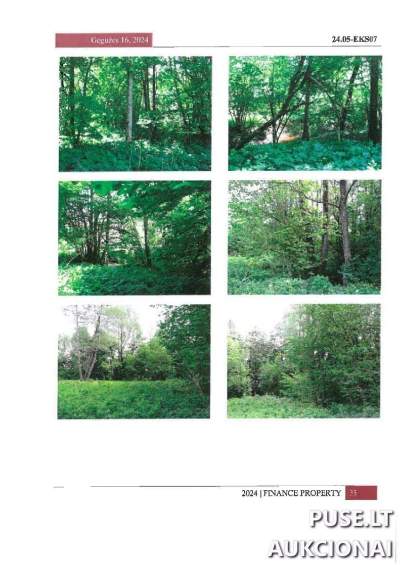 1/2 dalis miško žemės sklypo Alytaus r. Paliepiuose 0.2753 ha, pradinė kaina 420 EUR