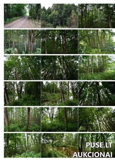 2.87 ha žemės ūkio paskirties sklypas Kazlų Rūdos sav. Gulioniškės k. už 8160 EUR