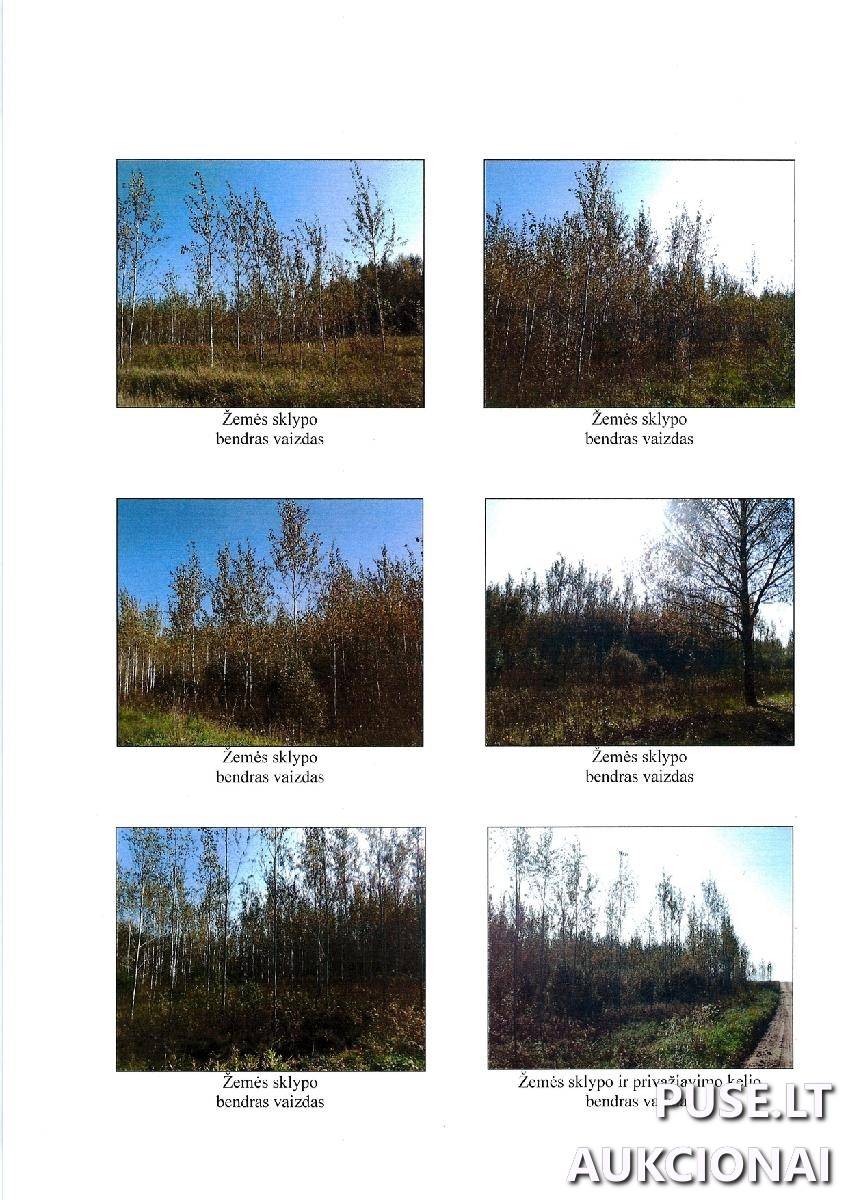 Žemės sklypas Sklypai Miguičionys, Varėnos sen., Varėnos r. sav. 3