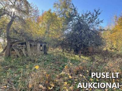 1/2 dalis gyvenamojo namo ir 752 a žemės sklypo aukcionas Zarasų rajone, Zirnajų k. Pradinė kaina 4600 EUR