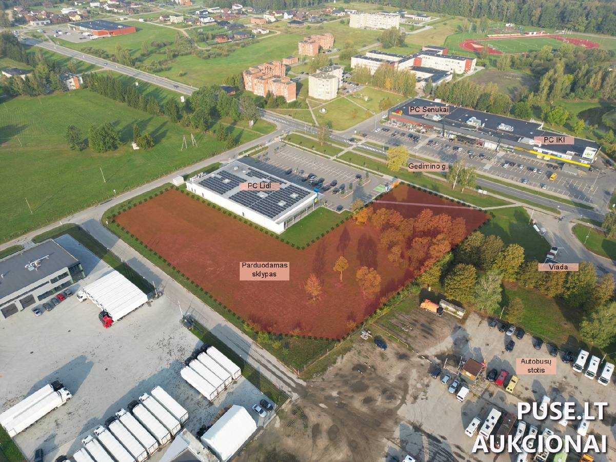 Žemės sklypas Sklypai Gedimino g. 135A, 56173 Kaišiadorys, Kaišiadorių miesto sen., Kaišiadorių r. sav. 3